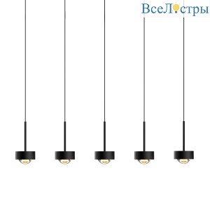 Подвесной светильник MD2826-5L black Delight Collection