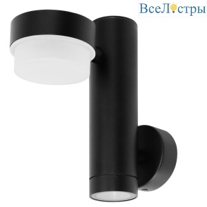 Уличный настенный светильник Arte Lamp Budapest A2362AL-2BK