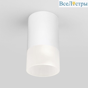 Уличный светодиодный светильник Elektrostandard Light Led 35139/H белый 4690389177927
