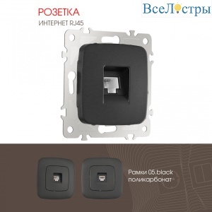 Розетка RJ45 Arte Milano 205.45-1.black