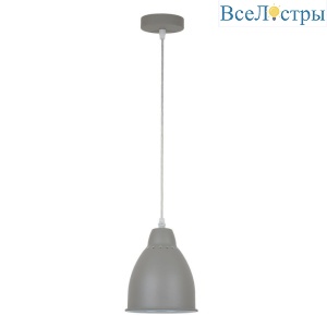 Подвесной светильник Arte Lamp Braccio A2054SP-1GY