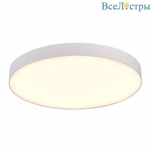 Потолочный светильник ST Luce ST606.532.96