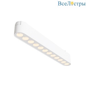 Трековый светодиодный светильник Maytoni Technical Radity Points TR082-1-12W3K-M-W