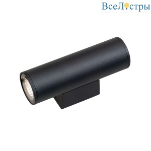 Уличный настенный светильник Vitaluce V2069-1/2A