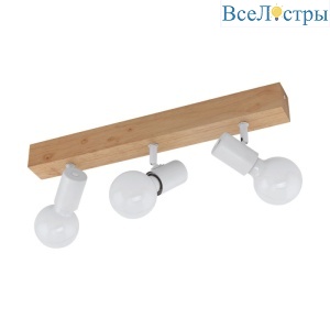 Спот Eglo Townshend 3 33171