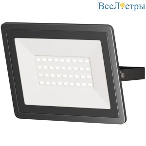 Прожектор светодиодный Maytoni Flood 30W 4000K FL001-L30B4K