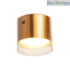 Накладной светильник Wolta Oro WSL-GX53/07G