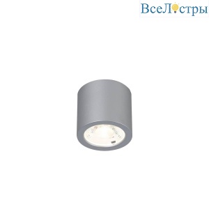 Потолочный светодиодный светильник Favourite Deorsum 2808-1C