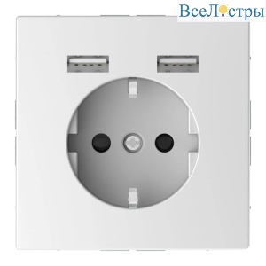 Розетка компьютерная USBx2 Schneider Electric Merten D-Life MTN2366-6035