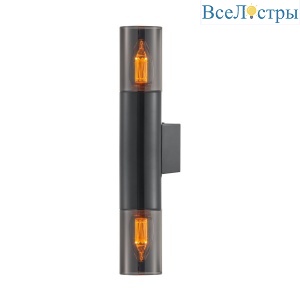 Настенный светильник General Эйлайт GWL-2E14-M-IP20 662809