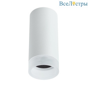 Потолочный светильник Arte Lamp Ogma A5556PL-1WH