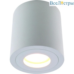 Потолочный светильник Divinare Galopin 1460/03 PL-1