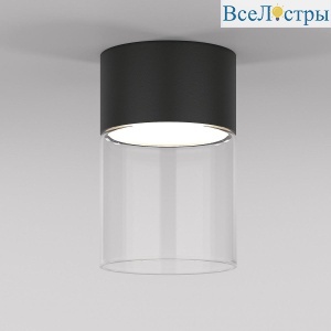 Потолочный светодиодный светильник Elektrostandard Lumen 25047/LED 10W 4000К черный/прозрачный a064709
