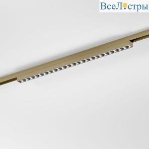 Трековый магнитный светильник Elektrostandard 85529/01 4690389218750 a071850