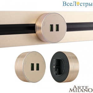Трековая розетка Arte Milano Am-track-sockets 380011TS/USBx2 Gold