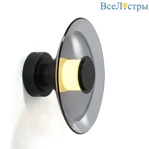 Настенно-потолочный светильник Delight Collection 8665W/L black/smoky