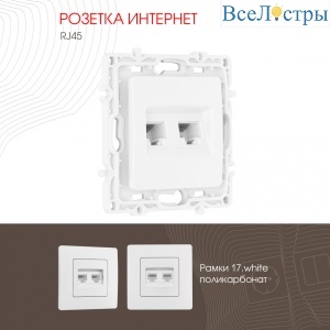 Розетка RJ45 Arte Milano 217.45-2.white