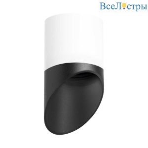 Потолочный светильник Lightstar Rullo (213486+201487) R348687