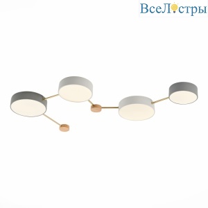 Потолочный светильник Evoluce Dossena SLE600102-04