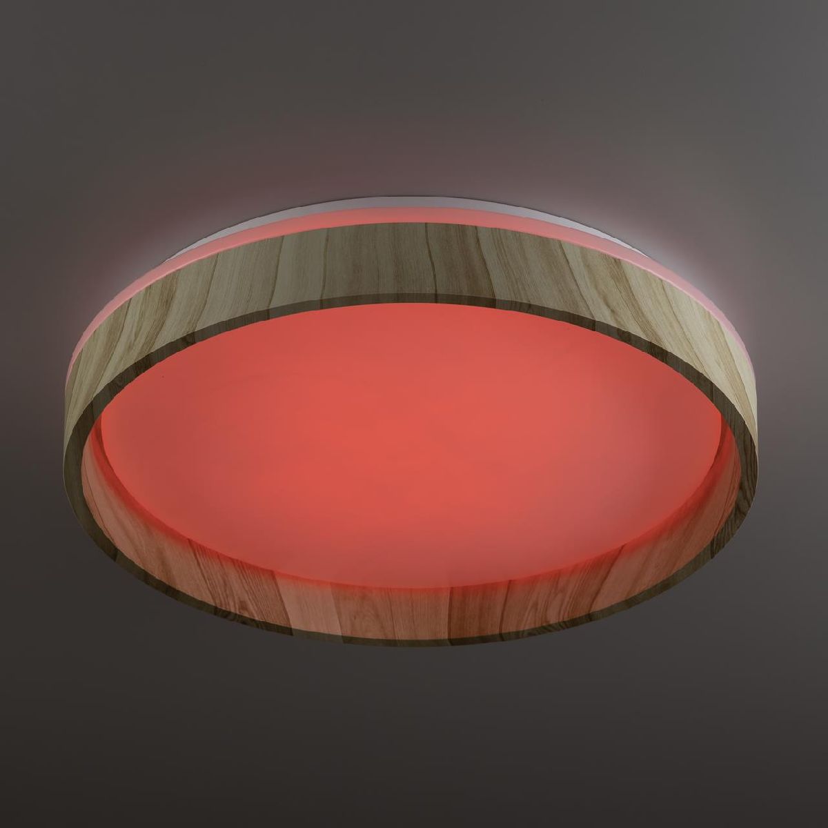 потолочный светильник citilux enzo cl753352g