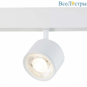 Трековый светодиодный светильник для магнитного шинопровода ST Luce Vedo ST353.546.06