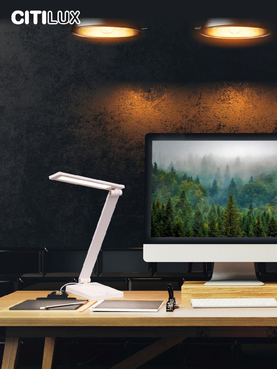 настольная лампа citilux ньютон cl803080