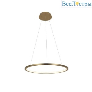 Подвесной светодиодный светильник Loft IT Ring 10014M