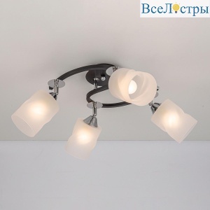 Потолочная люстра Citilux Сиерра CL119241