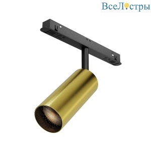 Трековый магнитный светильник Maytoni Focus Led TR032-2-12W3K-M-BBS