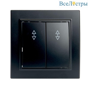 Переключатель двухклавишный Stekker Эрна черный PSW10-9008-03 39921