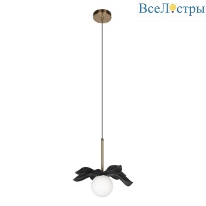 Подвесной светильник Loft IT Monro 10213/A Black