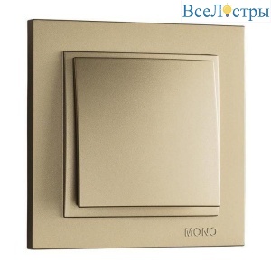 Выключатель Mono Electric Despina одноклавишный титан 102-222225-100
