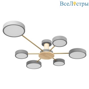Потолочная светодиодная люстра Loft IT Sunrise 10316/6 Grey