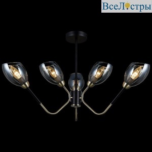 Потолочная люстра Illumico IL9960-6CSQ-79 BK AB