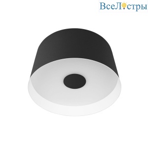 Потолочный светодиодный светильник Loft IT Duo 10360S Black