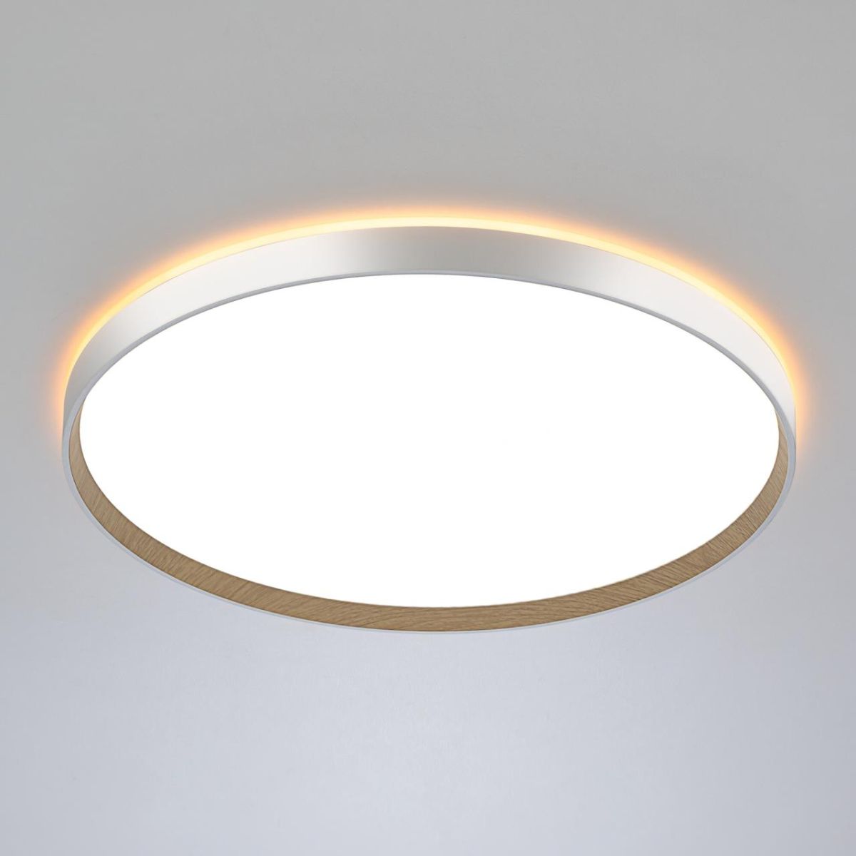 накладной светильник citilux etalon cl750500r