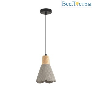 Подвесной светильник Lumion Suspentioni Eoliana 8351/1B