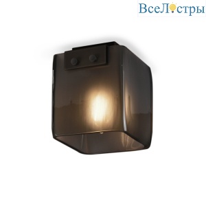 Потолочный светильник Delight Collection Malbridge 5061C black/smoky