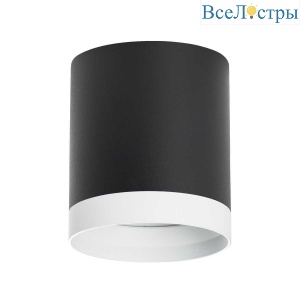 Потолочный светильник Lightstar Rullo (213487+203486) R34873486