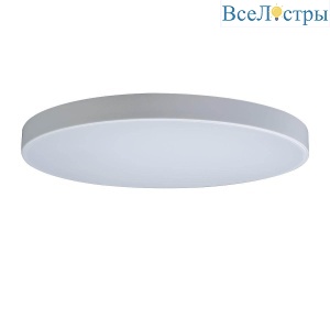 Потолочный светодиодный светильник Loft IT Axel 10002/48 white