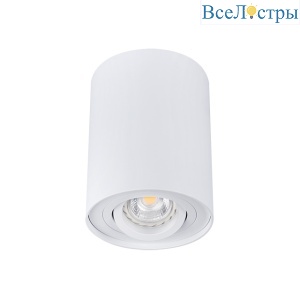 Накладной светильник Kanlux Bord DLP-50-W  22551