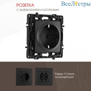 Розетка с заземлением и шторками Arte Milano 217.40-1.black