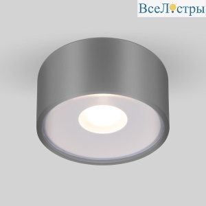 Уличный светодиодный светильник Elektrostandard Light Led 35141/H серый 4690389180149