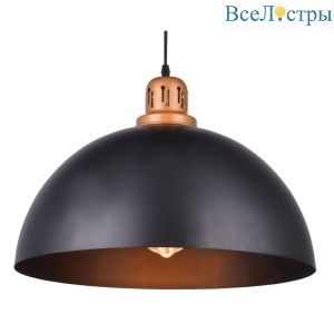 Подвесной светильник Arte Lamp Eurica A4249SP-1BK