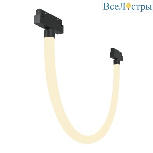 Трековый подвесной светильник Maytoni Tau TR101-2-20W3K-B