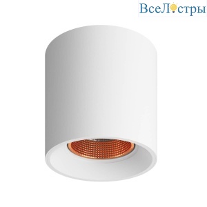 Накладной светильник Denkirs DK3090-WBR