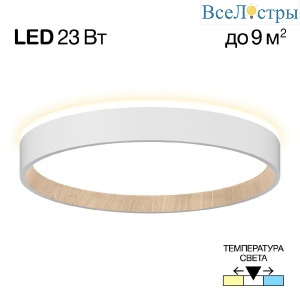 Потолочный светильник Citilux Etalon CL750240