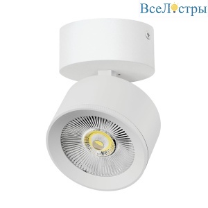 Накладной светильник Alta Pro Lightstar A5546SO