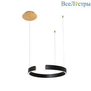 Подвесной светодиодный светильник Loft IT Ring 10025/400 Black