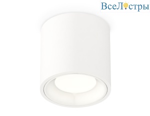 Потолочный светильник Ambrella Light Techno Spot XS7531010 (C7531, N7020)